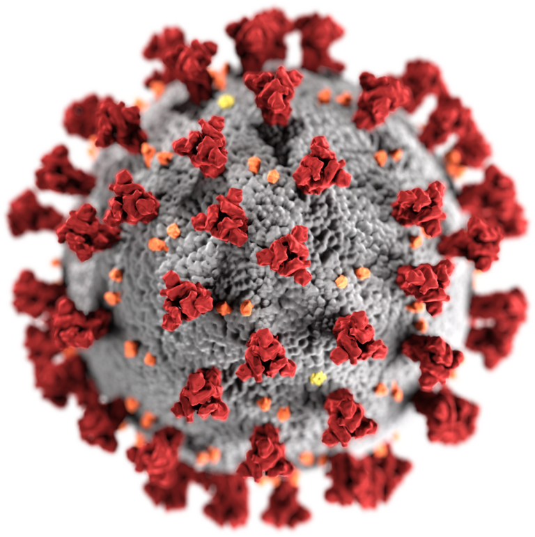 Explained: Meeting Kappa and Lambda, the latest SARS-COV-2 variant that experts are carefully traced