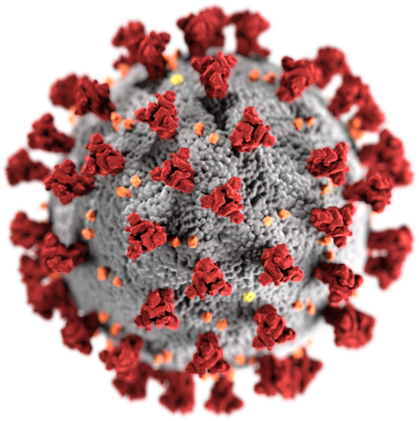 Explained Meeting Kappa and Lambda, the latest SARS-COV-2 variant that experts are carefully traced