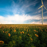 Renewable Energy by State: Which States Produce the Most?