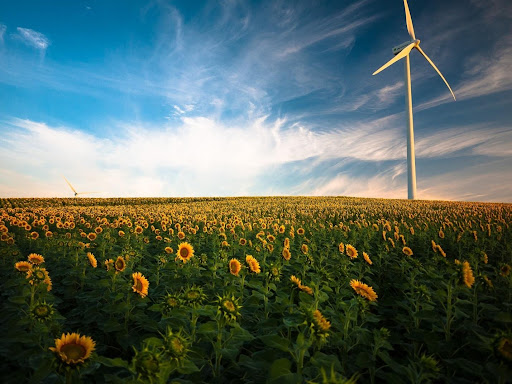 Renewable Energy by State: Which States Produce the Most?