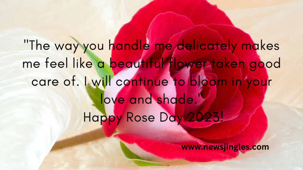  Rose Day Quotes, Wishes And Messages