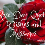 Rose Day Quotes, Wishes And Messages