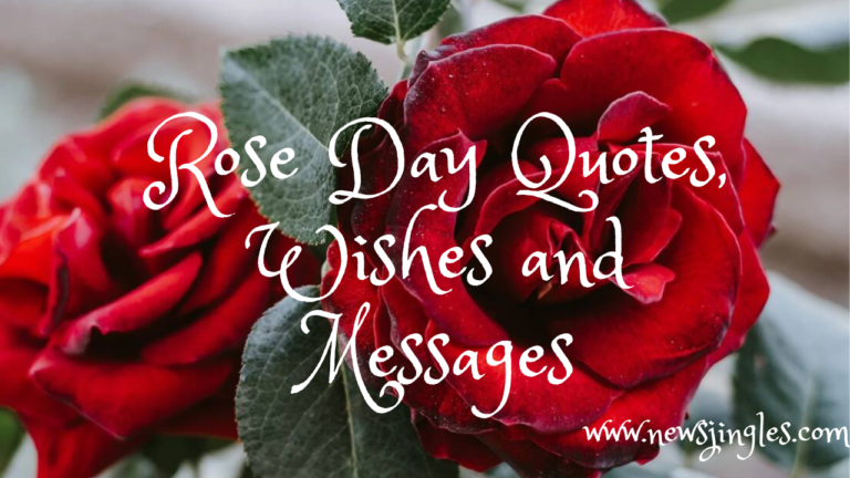 Rose Day Quotes, Wishes and Messages