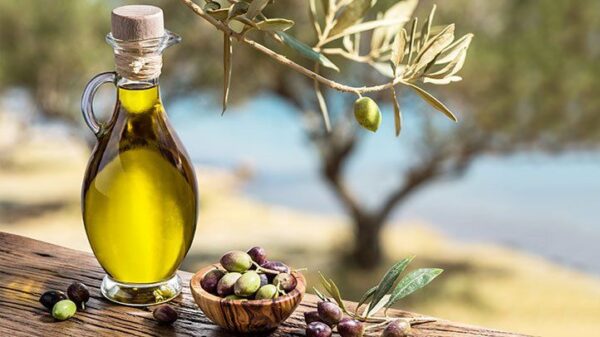 Olive Oil and Health: Discovering the Positive Effects and Cautions of Olive Consumption